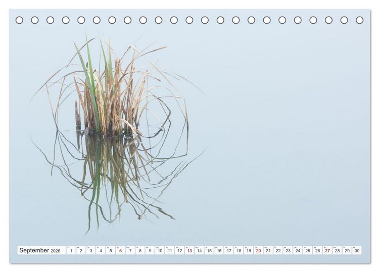 Produktbild: Feine Formen der Natur (Tischkalender 2026 DIN A5 quer), CALVENDO Monatskalender