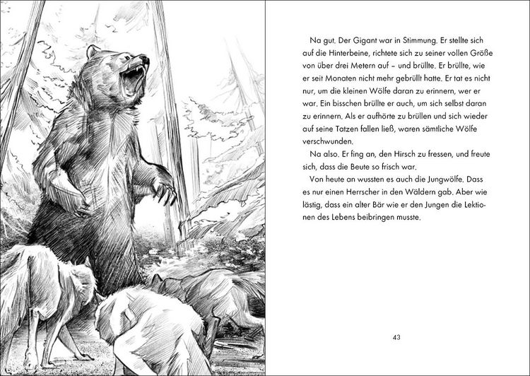Produktbild: Das geheime Leben der Tiere (Wald, Band 2) - K&ouml;nig der B&auml;ren