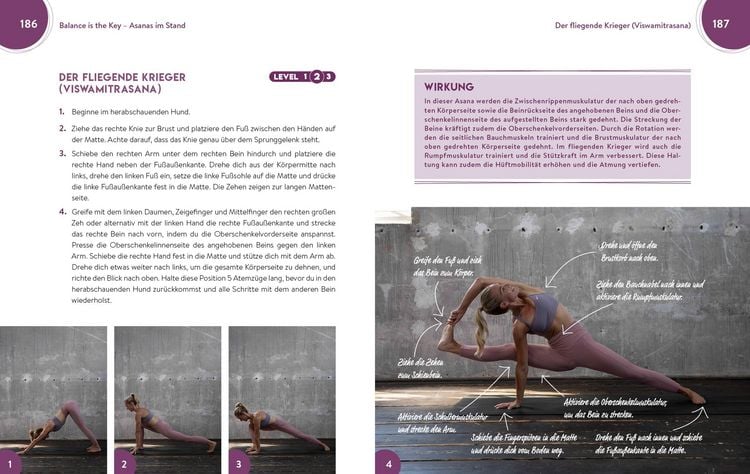 Produktbild: Power meets Balance &ndash; Yoga f&uuml;r Fortgeschrittene