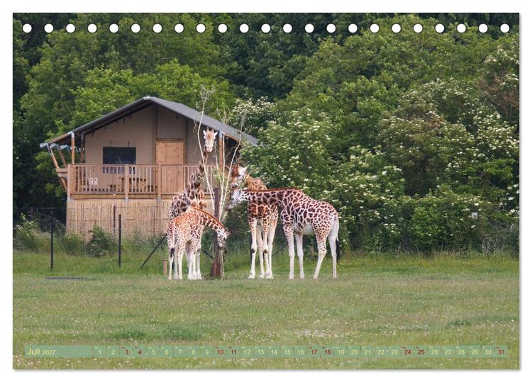 Produktbild: D&auml;nemark Lolland Ein Urlaub voller Mythen und Sch&ouml;nheiten (Tischkalender 2027 DIN A5 quer), CALVENDO Monatskalender