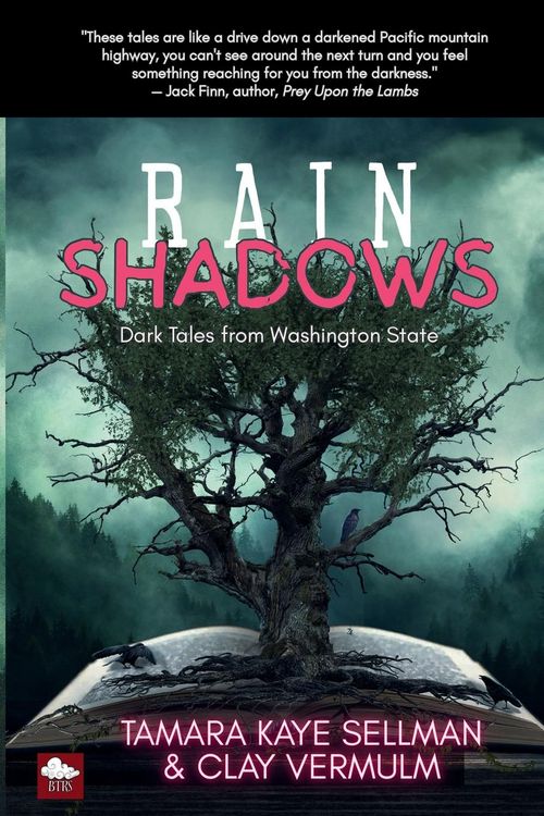 Produktbild: Rain Shadows