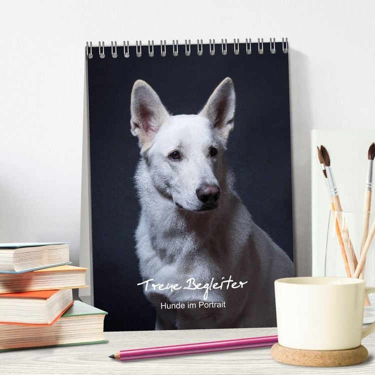 Produktbild: Treue Wegbegleiter, Hunde im Portrait. (Tischkalender 2026 DIN A5 hoch), CALVENDO Monatskalender