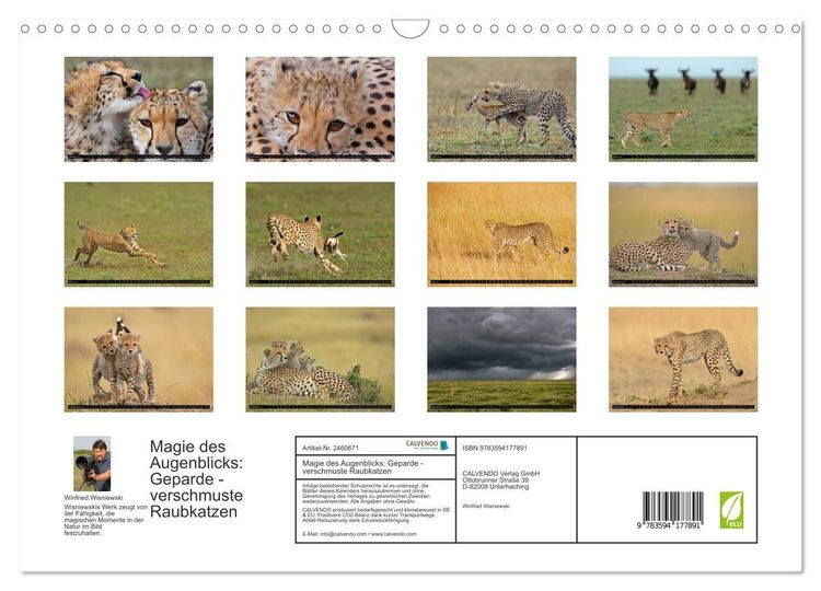 Produktbild: Magie des Augenblicks: Geparde - verschmuste Raubkatzen (Wandkalender 2027 DIN A3 quer), CALVENDO Monatskalender