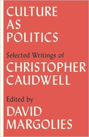 Produktbild: Culture as Politics