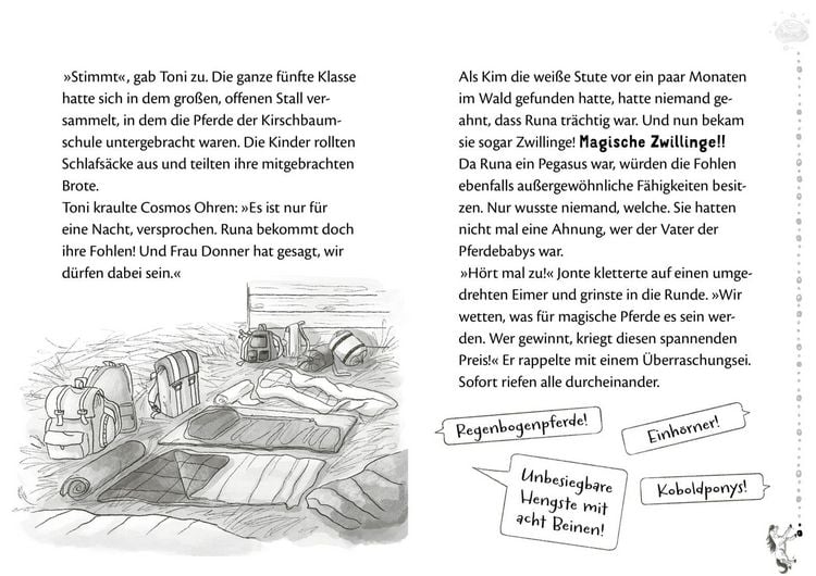 Produktbild: Die Schule der Herzenspferde 3: Zorro & Elin