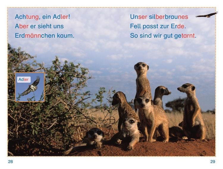 Produktbild: SUPERLESER! Tiere, top getarnt