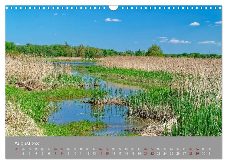 Produktbild: Nationalpark Unteres Odertal (Wandkalender 2027 DIN A3 quer), CALVENDO Monatskalender