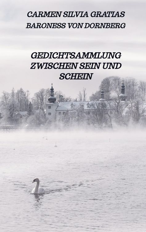 Produktbild: Gedichtsammlung zwischen Sein und Schein