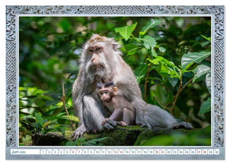 Produktbild: Bali, die unvergleichliche Sch&ouml;nheit (hochwertiger Premium Wandkalender 2026 DIN A2 quer), Kunstdruck in Hochglanz
