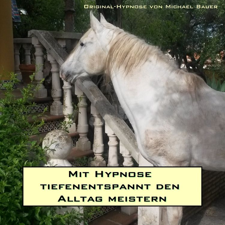 Produktbild: Mit Hypnose tiefenentspannt den Alltag meistern