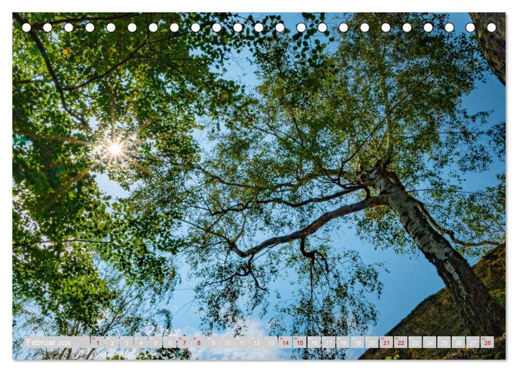 Produktbild: Naturpark Zittauer Gebirge (Tischkalender 2026 DIN A5 quer), CALVENDO Monatskalender