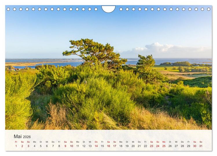 Produktbild: Nat&uuml;rliches R&uuml;gen und Hiddensee (Wandkalender 2026 DIN A4 quer), CALVENDO Monatskalender