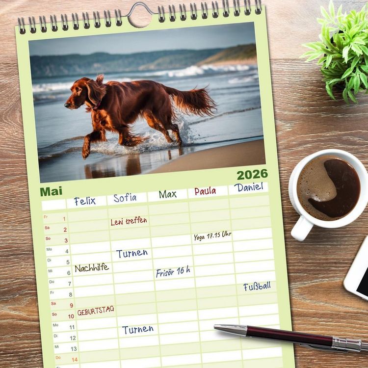 Produktbild: Familienplaner 2026 - Irish Setter - Anmut pur mit 5 Spalten (Wandkalender, 21 x 45 cm) CALVENDO
