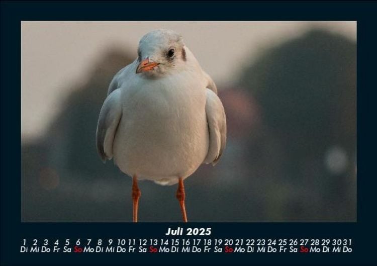 Produktbild: Hamburg 2025 Fotokalender DIN A5