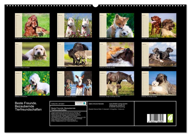 Produktbild: Beste Freunde. Bezaubernde Tierfreundschaften (hochwertiger Premium Wandkalender 2026 DIN A2 quer), Kunstdruck in Hochglanz