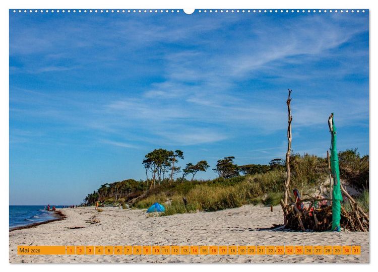 Produktbild: Wilder Dar&szlig;er Weststrand (hochwertiger Premium Wandkalender 2026 DIN A2 quer), Kunstdruck in Hochglanz