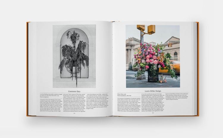 Produktbild: Flower: Exploring the World in Bloom