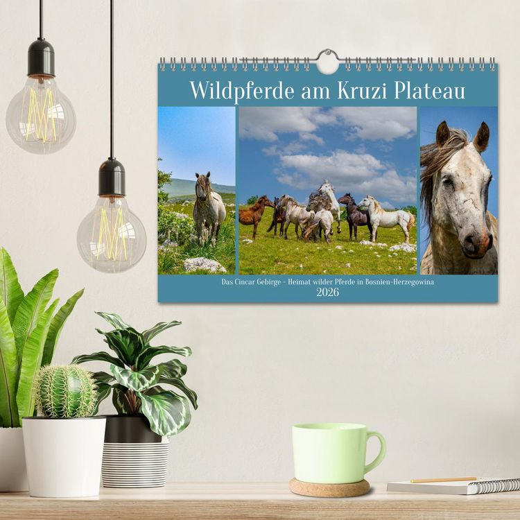 Produktbild: Wildpferde am Kruzi Plateau (Wandkalender 2026 DIN A4 quer), CALVENDO Monatskalender