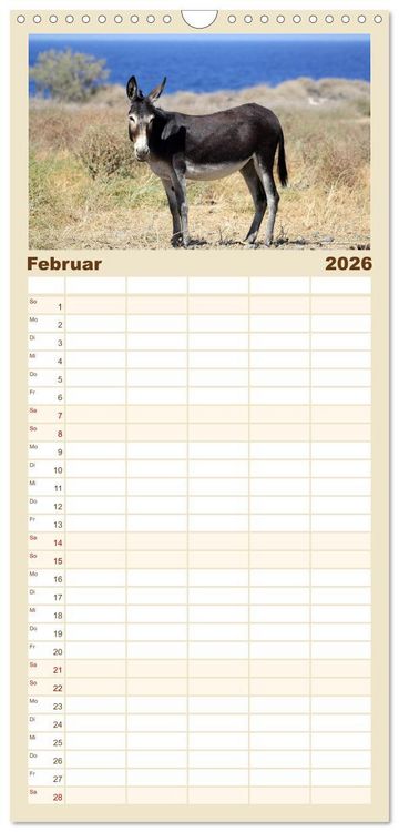 Produktbild: Familienplaner 2026 - Griechenland - Von Epirus bis zu den Inseln mit 5 Spalten (Wandkalender, 21 x 45 cm) CALVENDO