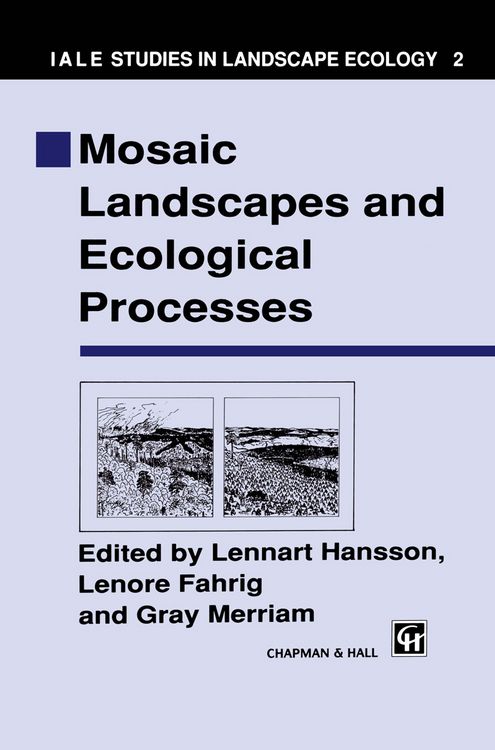 Produktbild: Mosaic Landscapes and Ecological Processes