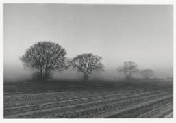 Produktbild: Ramsholt