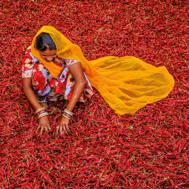 Produktbild: Colours of India 2027