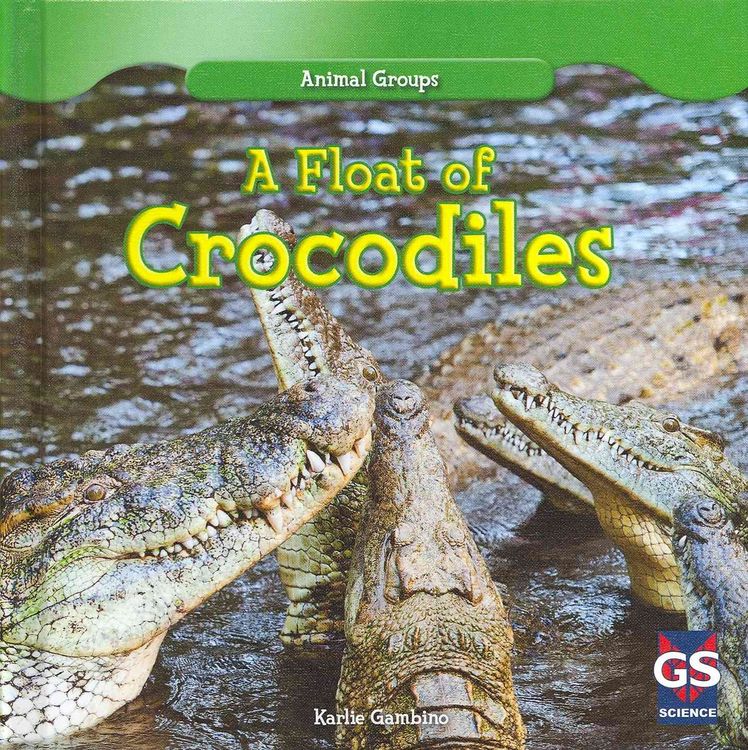 Produktbild: Animal Groups