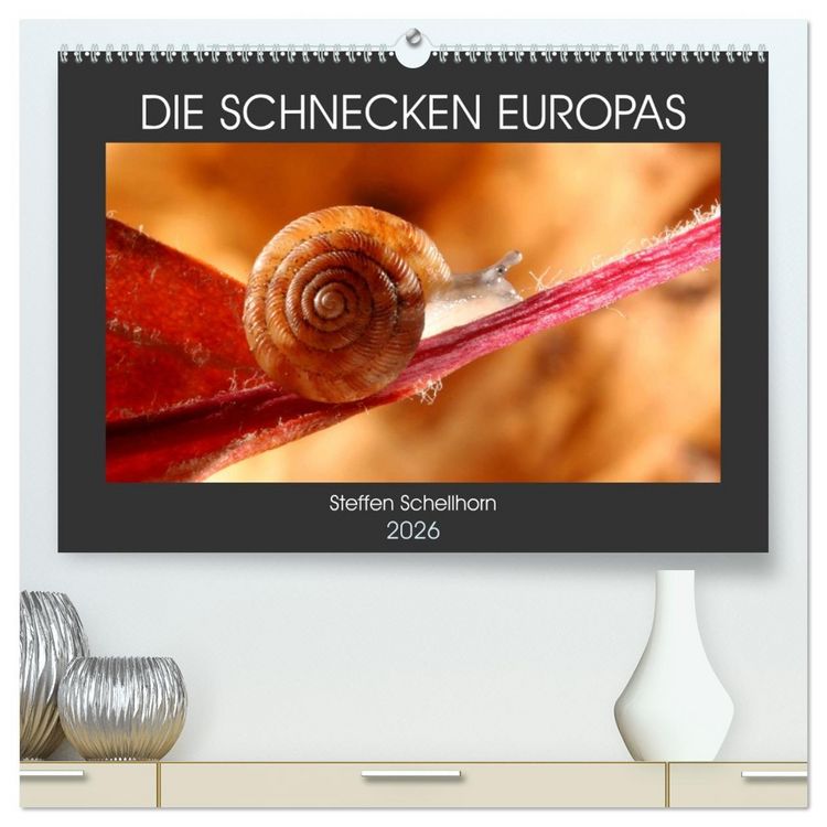 Produktbild: DIE SCHNECKEN EUROPAS (hochwertiger Premium Wandkalender 2026 DIN A2 quer), Kunstdruck in Hochglanz