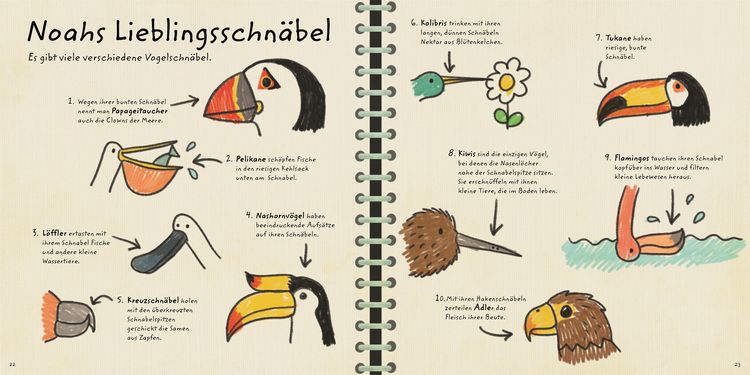 Produktbild: Natur vor der T&uuml;r. Noah zeigt dir die V&ouml;gel