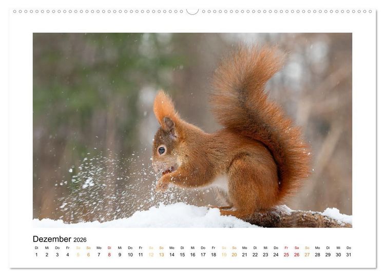 Produktbild: Wiener Tierwelt (hochwertiger Premium Wandkalender 2026 DIN A2 quer), Kunstdruck in Hochglanz