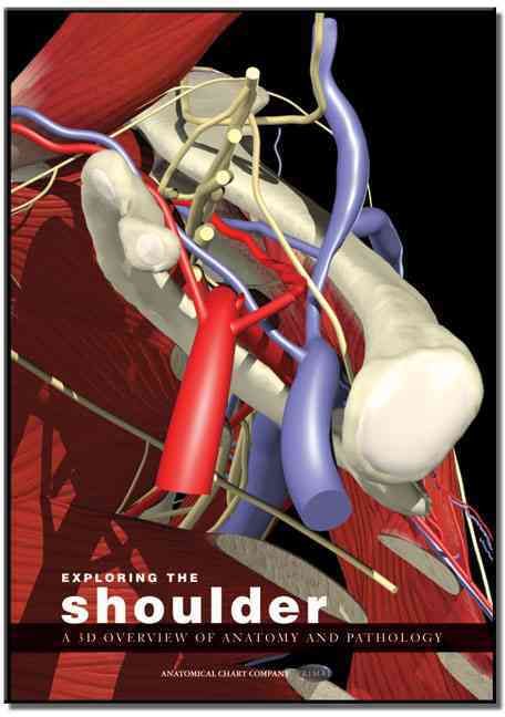 Produktbild: Exploring the Shoulder: A 3d Overview of Anatomy and Pathology