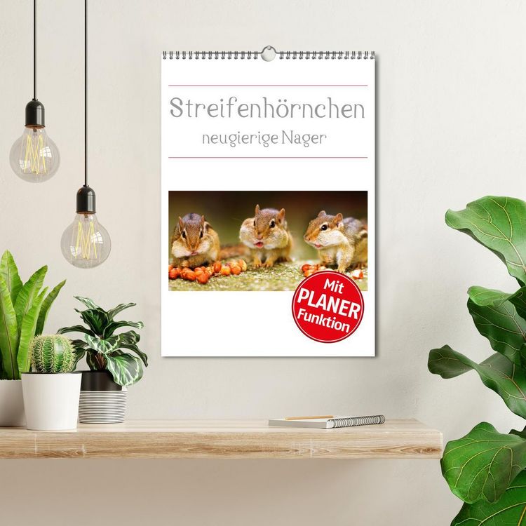 Produktbild: Streifenh&ouml;rnchen - neugierige Nager (Wandkalender 2026 DIN A3 hoch), CALVENDO Monatskalender