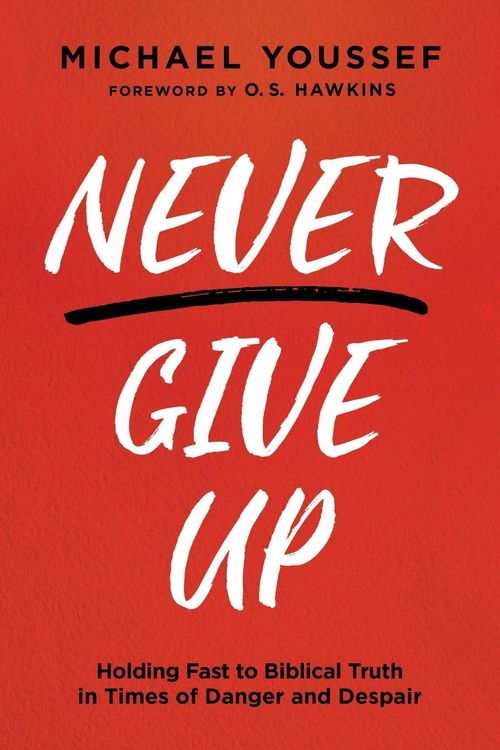 Produktbild: Never Give Up