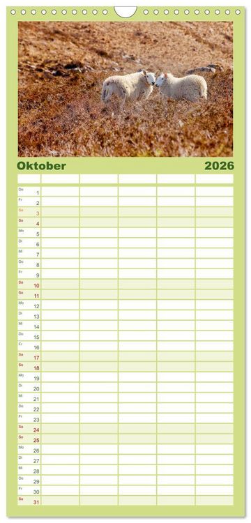 Produktbild: Familienplaner 2026 - Unter Schafen - Wegbegleiter auf Reisen mit 5 Spalten (Wandkalender, 21 x 45 cm) CALVENDO