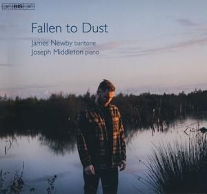 Produktbild: Fallen to Dust