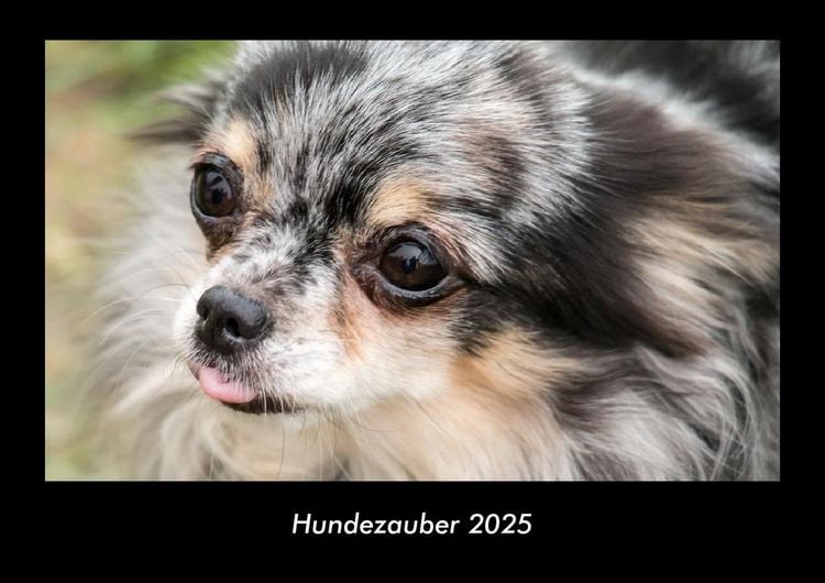 Produktbild: Hundezauber 2025 Fotokalender DIN A3