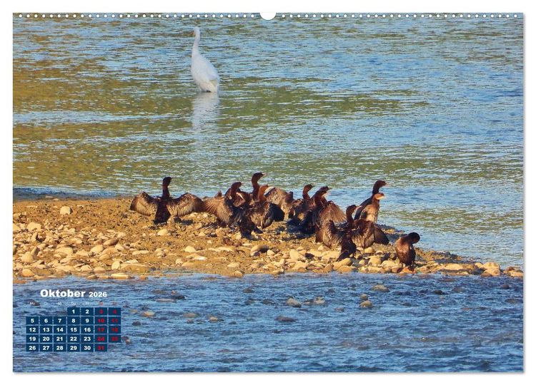 Produktbild: Herrliches Arno Tal - Wanderurlaub in der Toskana (Wandkalender 2026 DIN A2 quer), CALVENDO Monatskalender