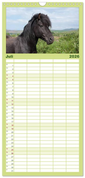 Produktbild: Familienplaner 2026 - Charakterk&ouml;pfe Islandpferde mit 5 Spalten (Wandkalender, 21 x 45 cm) CALVENDO