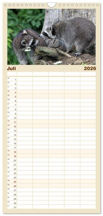 Produktbild: Familienplaner 2026 - Waschb&auml;ren mit 5 Spalten (Wandkalender, 21 x 45 cm) CALVENDO
