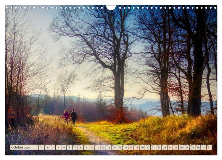 Produktbild: L'Allemagne, tes paysages (Calendrier mural 2026 DIN A3 vertical), CALVENDO calendrier mensuel