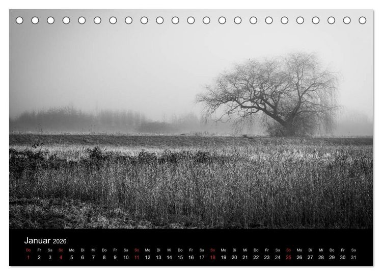 Produktbild: Monochrom 2026 (Tischkalender 2026 DIN A5 quer), CALVENDO Monatskalender