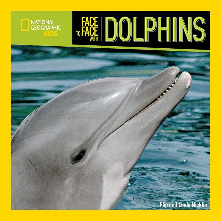 Produktbild: Face to Face with Dolphins