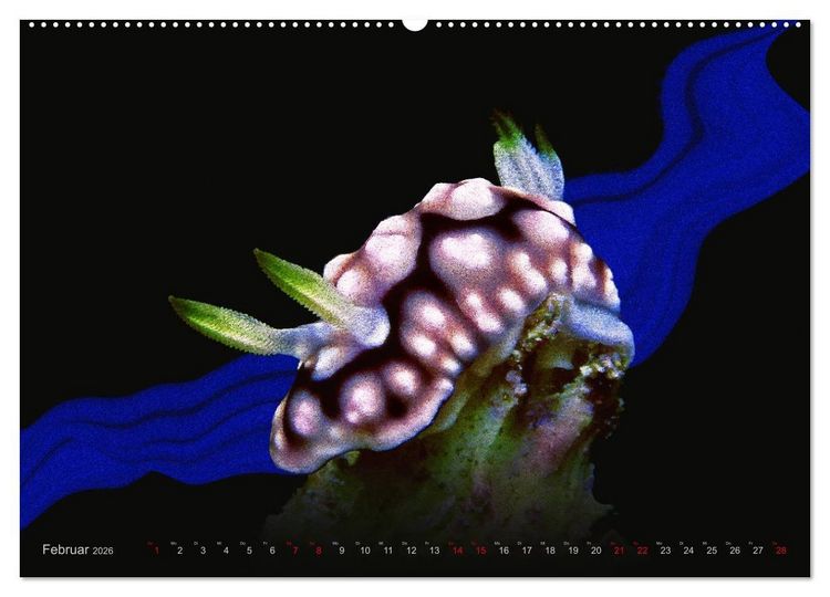 Produktbild: Artwork Unterwasser - Erlebnis Tauchen (hochwertiger Premium Wandkalender 2026 DIN A2 quer), Kunstdruck in Hochglanz