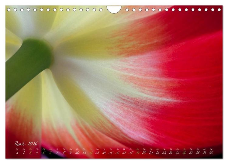 Produktbild: Bl&uuml;tenzauber in meinem Garten (Wandkalender 2026 DIN A4 quer), CALVENDO Monatskalender
