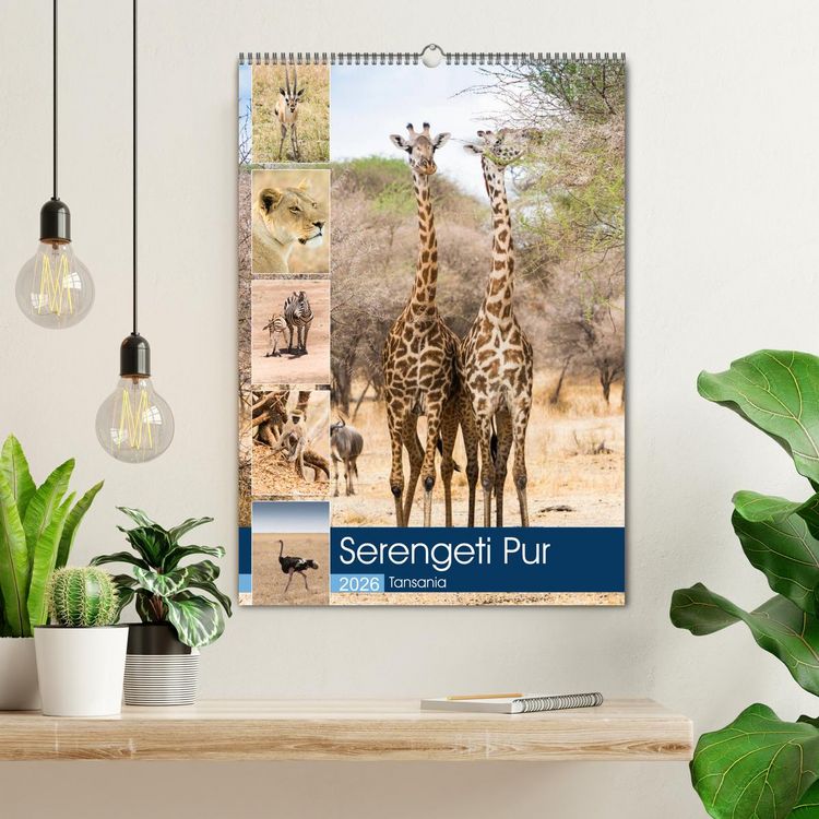 Produktbild: Serengeti Pur - Tansania (Wandkalender 2026 DIN A2 hoch), CALVENDO Monatskalender