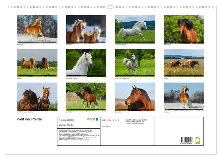 Produktbild: Welt der Pferde (Wandkalender 2026 DIN A2 quer), CALVENDO Monatskalender