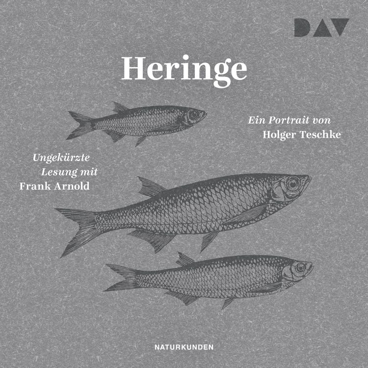 Produktbild: Heringe. Ein Portrait