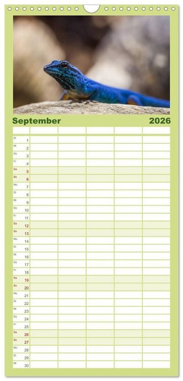 Produktbild: Familienplaner 2026 - Echsen - Schuppige &Uuml;berlebensk&uuml;nstler mit 5 Spalten (Wandkalender, 21 x 45 cm) CALVENDO
