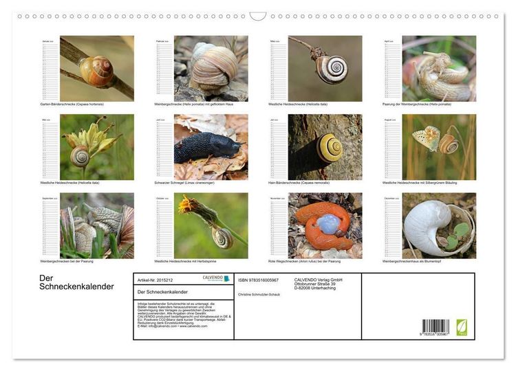 Produktbild: Der Schneckenkalender (Wandkalender 2026 DIN A2 quer), CALVENDO Monatskalender