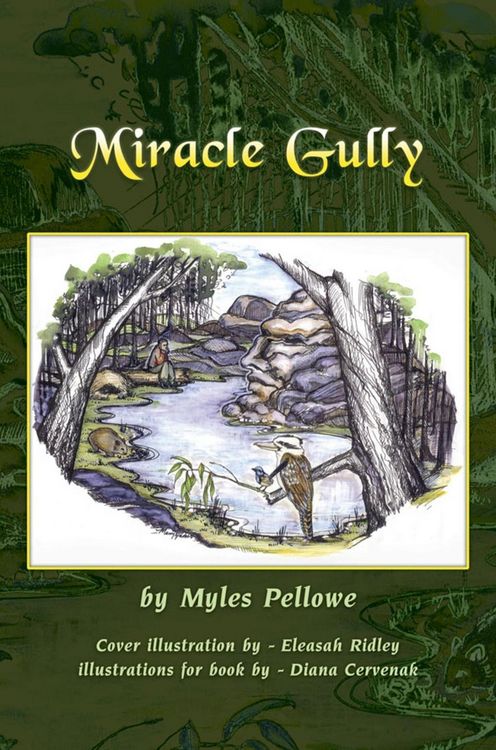 Produktbild: Miracle Gully